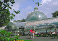 Glasgow's Botanic Gardens